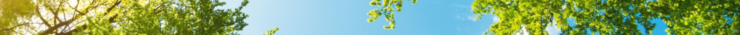 product banner
